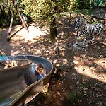 Weekend Glamping *